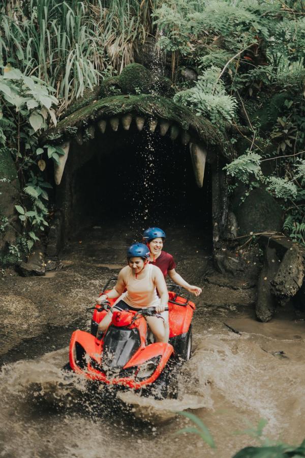 Img 2113 697cc3e75930c