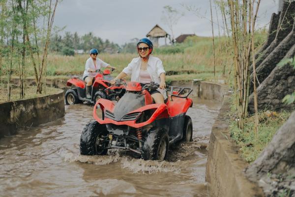 Img 2897 697cbebf513bb