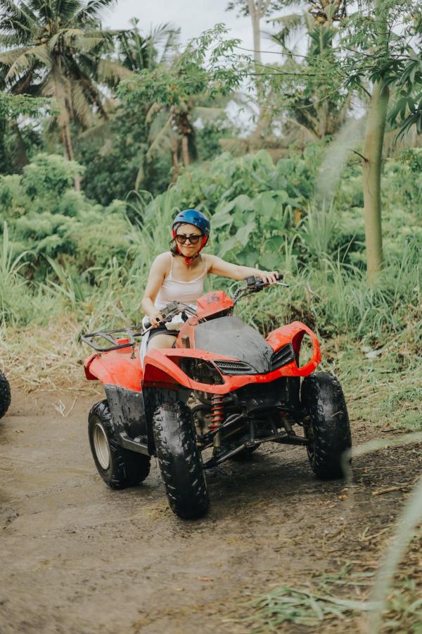 Img 3345 697cc3e7a35b2